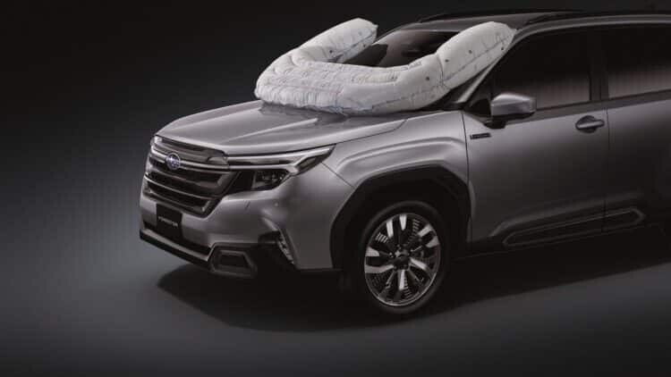 Japan Pioneers Exter...