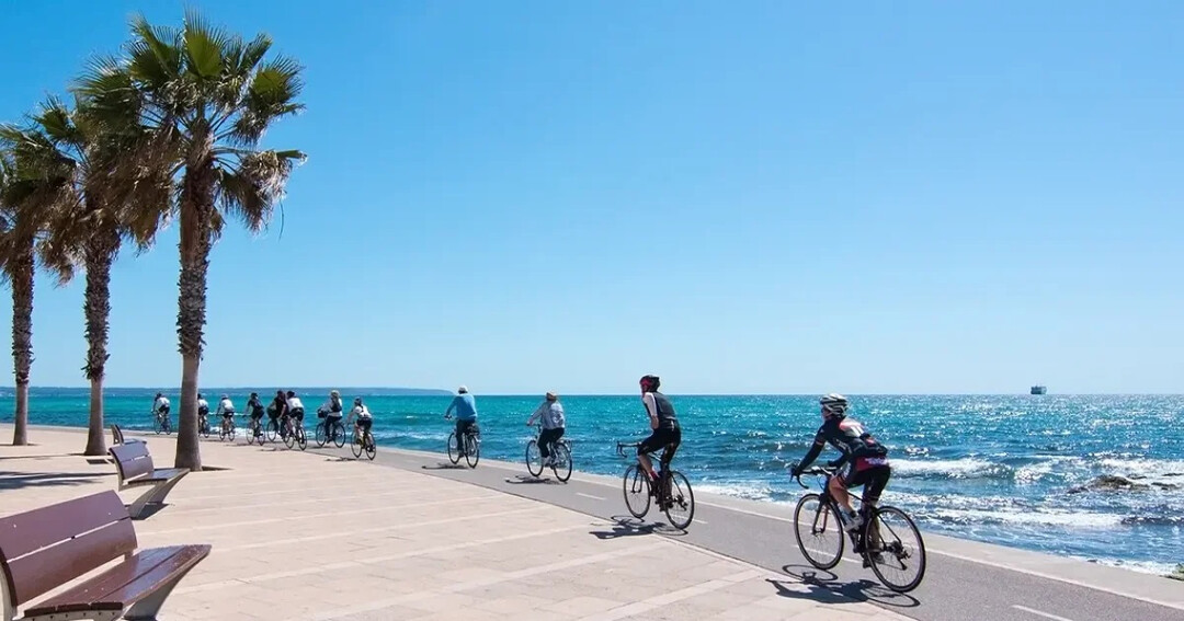 Palma Announces Majo...