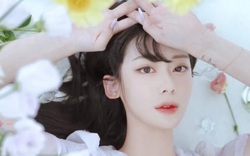 Acoustic Collabo Voc...