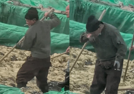 Chinese Pickled Cabbage Factory Fined $150,000 Over "Smoking and Spitting" Hygiene Scandal