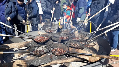 Gongju's Roasted Chestnut Festival Goes Global: 340,000 Visitors and $170,000 in U.S. Sales