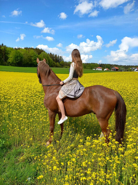 From the Alps to Seoul: Life in the Heart of Europe