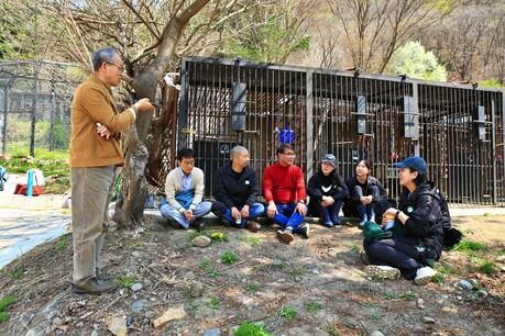 Project Moon Bear: Environmental activists are protecting and managing the bears. -3