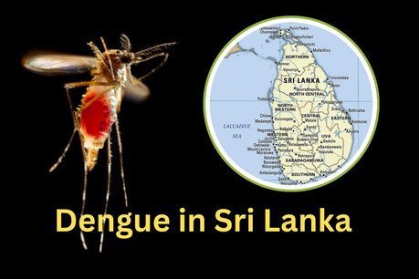 Sri Lanka Faces Rapid Spread of Dengue Variant; Death Toll Reaches 24 This Year
