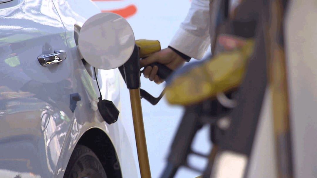 Government Slashes P...