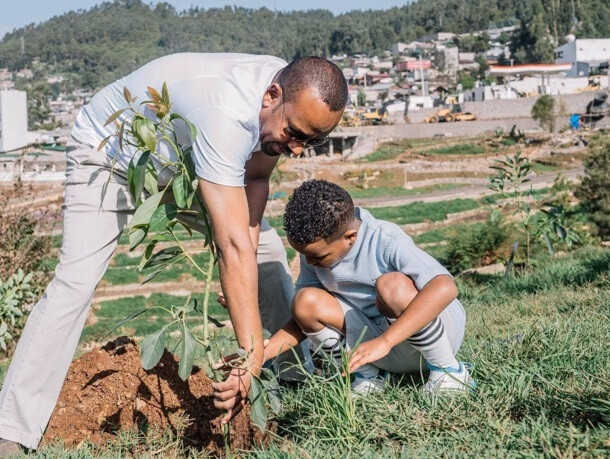 Planting Hope: Ethiopia’s Green Legacy and the Power of National Transformation
