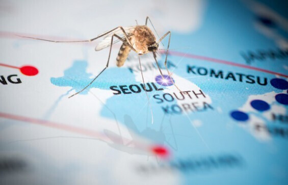 Nationwide Malaria Alert Issued as Parasite Detected in Mosquito Carriers