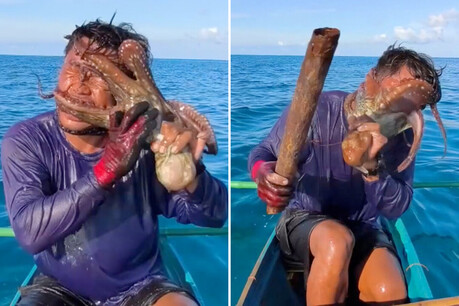 Fisherman’s Terrifying Encounter: Octopus Clings to Face in Viral Struggle