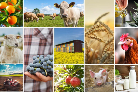 Expanding Horizons for K-Agri-Food... Finding New Breakthroughs for Farms in Export Markets