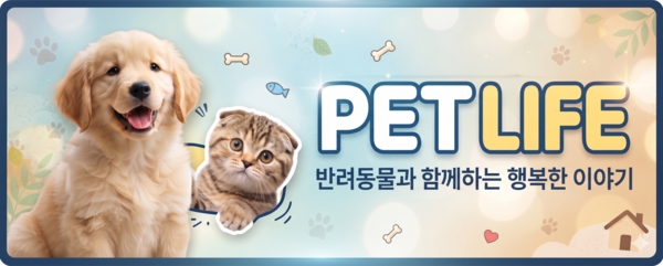 펫라이프