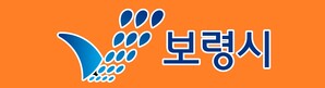 보령시